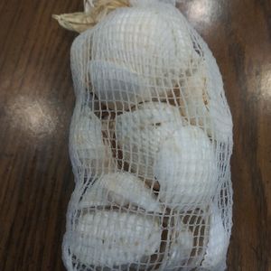 NEW 16 OZ BAG REAL LARGE SEA SHELL 🐚